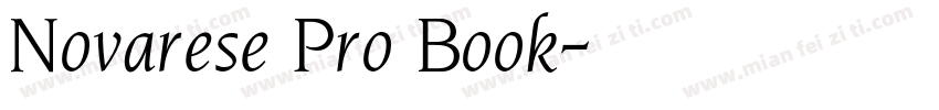 Novarese Pro Book字体转换